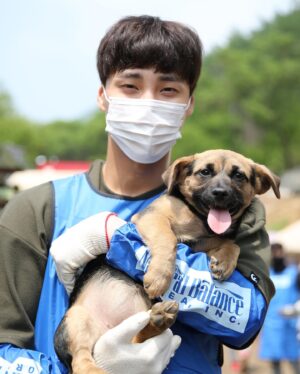 Lee Tae-hwan Instagram - 예쁜 아이들이 새로운 가족을 기다립니다.
#사지말고입양하세요 #블루엔젤봉사단