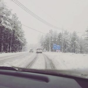Lee Won-il Instagram - 아따 마 격하게 반겨주네.... 속초...❄️☃️
태우랑 출장중입니다~😜👍🍔🍔🍔🍔