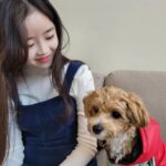 Lee Yeong-eun