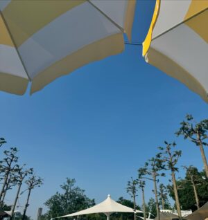 Lee Young-eun Instagram - .
장마 전 수영장🏊‍♀️👙🤿
.