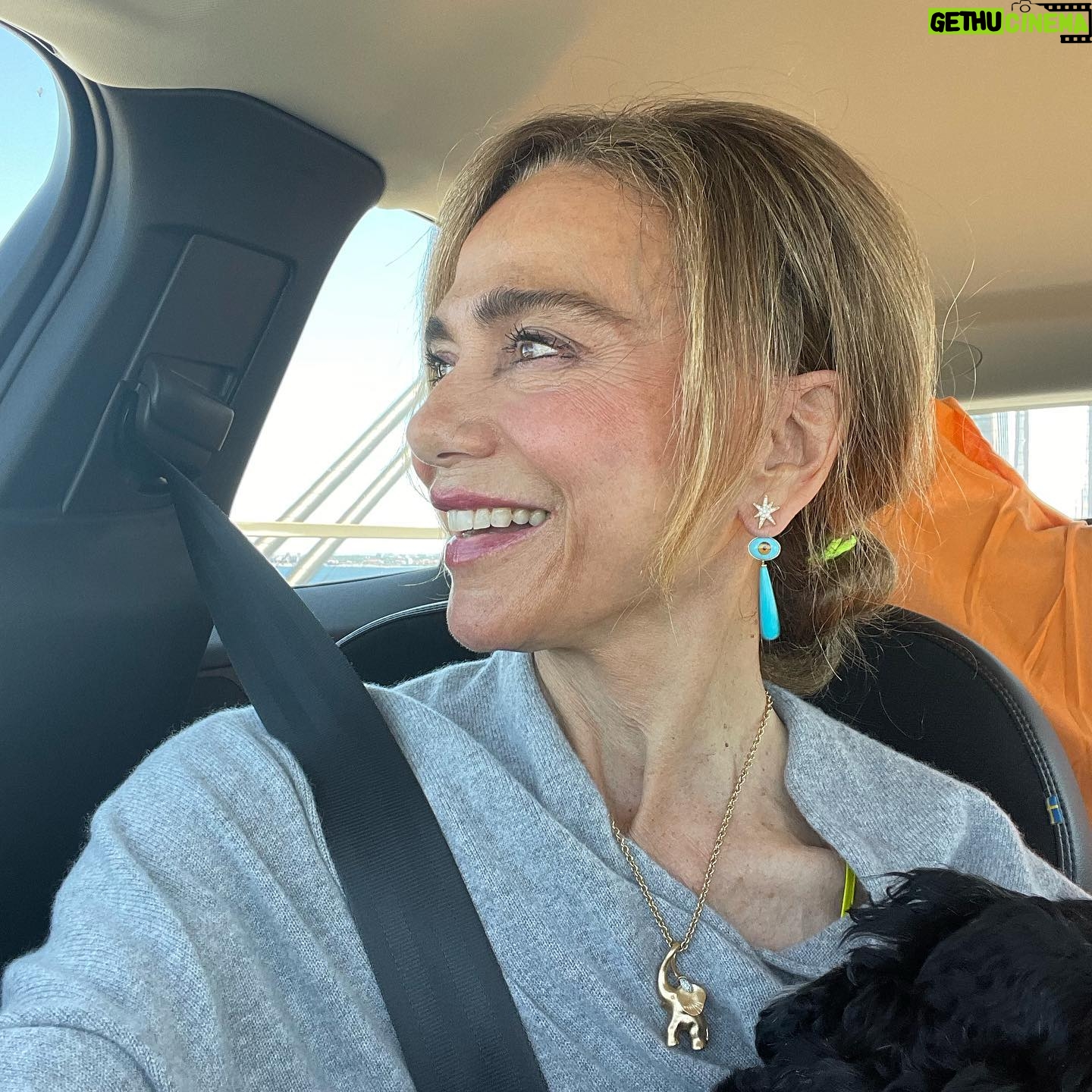 Lena Olin - 1.2K Likes - On our way! To a very exciting celebration ! @olelynggaardcopenhagen Crossing the bridge! 💗🌟🔥