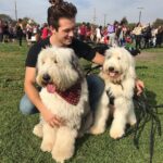 Leo Howard