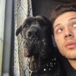 Leo Howard
