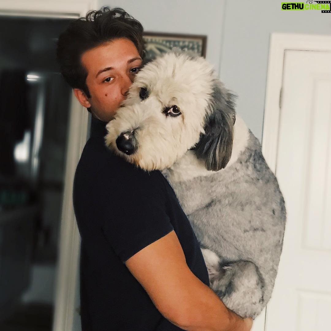 Leo Howard - 41.4K Likes - Protecting my child from the vicious Roomba