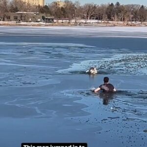 Leon Logothetis Instagram - Dogs   Kindness = Humanity ❤️

Repost: goodnews_movement

#kindness #thekindnessdiaries #leonlogothetis #bekind #gobekind #spreadkindness #kindnessmatters #choosekindness #channelkindness #kindnessrocks #youmatter #kindnessdiaries #randomactsofkindness #alwaysbekind #rak #kindnessisstrength #empathymatters #attitudeofgratitude