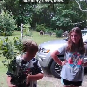 Leon Logothetis Instagram - These kids are amazing. Kindness wins again ❤️
...
Courtney's neighbor mows her lawn and accidentally mowed over her blueberry bush, so his kids brought over a replacement as a kind gesture. 🥹💙
Repost - goodnews_movement

#kindness #thekindnessdiaries #leonlogothetis #bekind #gobekind #randomactofkindness #spreadkindness #kindnessmatters #choosekindness #channelkindness #kindnessrocks #youmatter #kindnessdiaries #randomactsofkindness #alwaysbekind #rak #kindnessisstrength #empathymatters #attitudeofgratitude #kindnesssuperhero