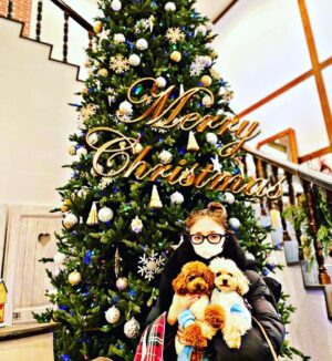 Léona Hirota Instagram - 大晦日に Xmasの写真😂

今年もあっという間でしたね😅

去年の暮れから映画を撮り始めて
今年の6月にギュッと撮影したのですが…やはり体力が…
毎日死ぬんじゃないかのギリギリ状態😂😂😂
しかし弱音は吐けず…
編集も7月から始めたのですが…ここでコロナに感染😭😭😭
ワクチン3回打っていましたが味わった事のない苦しみ😂
そしてそれ以上にマズイのがコロナの後遺症😭😭😭
階段2階に上がっただけで血中酸素濃度83〜85の救急車レベル…肺ガン術後直後くらいに戻ってしまっている…コロナ後遺症恐ろしや〜😭

社長業、マネージャー業もほぼ寝たきりのまま電話だけでやってる状態…👴🏻
人前に出る時は痛み止めをMAX増し増し増し服用するので肝機能障害にもなるわ
足も相変わらず引き摺っていますが……最近は手で足を持たないと動かせないレベル😅
夜中の咳からの喘息の発作も治らない…😅
誤魔化して仕事するのも限界かな😂
このままでは映画を再開させる事もままならず………
1週間、休んだところで治る気が全然せず…

なので
大変申し訳ないのですが…
治る事を信じ、療養生活に入らせていただきたいと思います🙇‍♂️

絶対に綺麗に歩けるようになって帰ってきますので待っていてもらえないでしょうか……

来年はウサギ🐰年❕
年女でございます👴🏻
超回復してみせまするるる✨
わては強い！

#ワンコはかすがい
#ゆる無添加生活はじめました
#ブッラータとシャインマスカット✨我が家のブームでした✨
#映画はもちろん終活だってしたいねん
#格好いい還暦の写真も撮りたいのぉ
