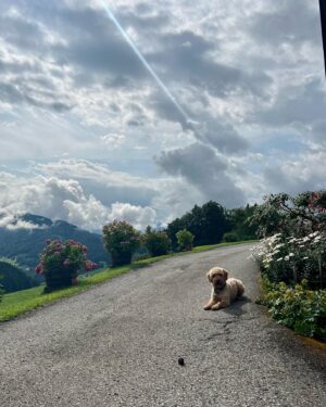 Leonie Brill Instagram - weekend shenanigans in 🇨🇭x 🇦🇹
________________________
#weekend #vibes #mountains #nature #switzerland #austria #naturelover #ootd #bodensee #lakeconstance #alps #swissalps