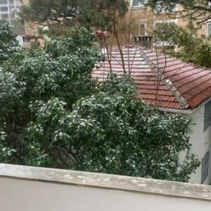 Levent Üzümcü Instagram - 