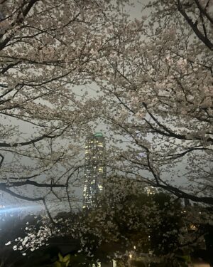 LiLy Instagram - TOKYO ♡ nofilter 
#明るい夜空
#2024春の思い出
