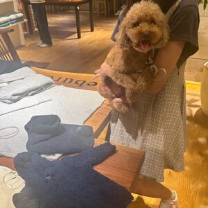 LiLy Instagram - シンバくん5歳🎂♡

毛の状態で
ルックスが
変わりすぎるため
「全身髪型シンバくん」
と、私の母は呼んでいますw

全てが可愛い　
全てが愛おしい
面白い！！！！

▶︎ラストの一枚とか
目が合うだけで
シンバくんの
全体的な印象が
良い人すぎて
笑っちゃう🤣🤣♡

お肉がほしくて
水が入ったトレーを
毎晩決まった時間に
ぶちまけるのも
ウケる。...
エサまだあるやん..
って言いながらも負ける。

ずっと元気に　
ぶちまけ続けて♡

我が家の末っ子
全員で溺愛、
性格がまた可愛いの極み

シンバくん、バアちゃん、ｼﾝﾊﾞたん
お誕生日おめでとう🎂4.26

#トイプードル　大きめ♡笑笑
#シンバラブ　#いいひと　♡