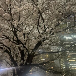 LiLy Instagram - brand new spring🌸2024
思い出のマーニー
軽井沢旅行
女三世代露天風呂
春の雨の入学式
新学期と珈琲　#思い出 #育児