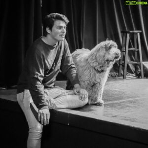 Liam Attridge Instagram - My puppy friend! @jaggerharte