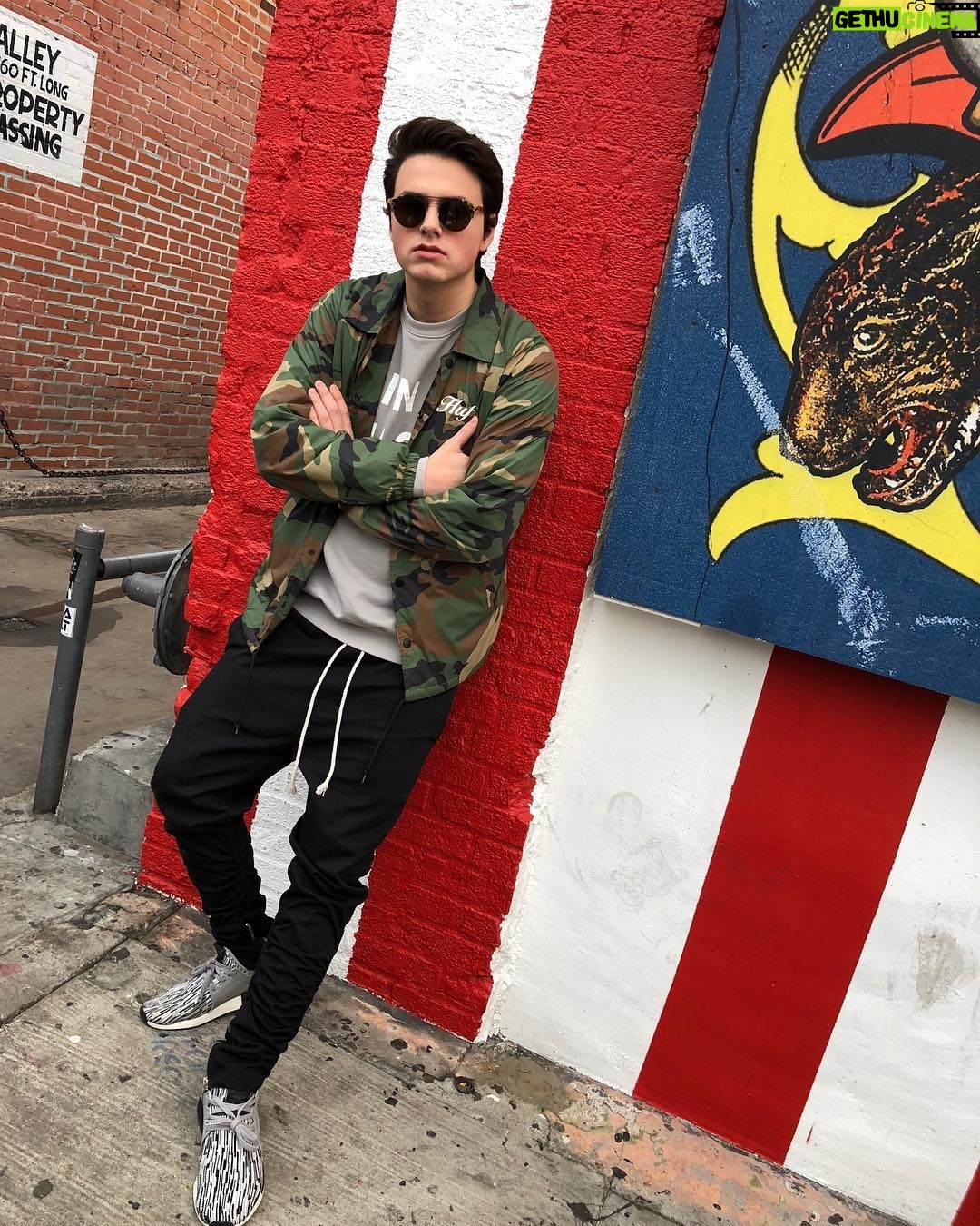 Liam Attridge - 8.3K Likes - Rawr🐯