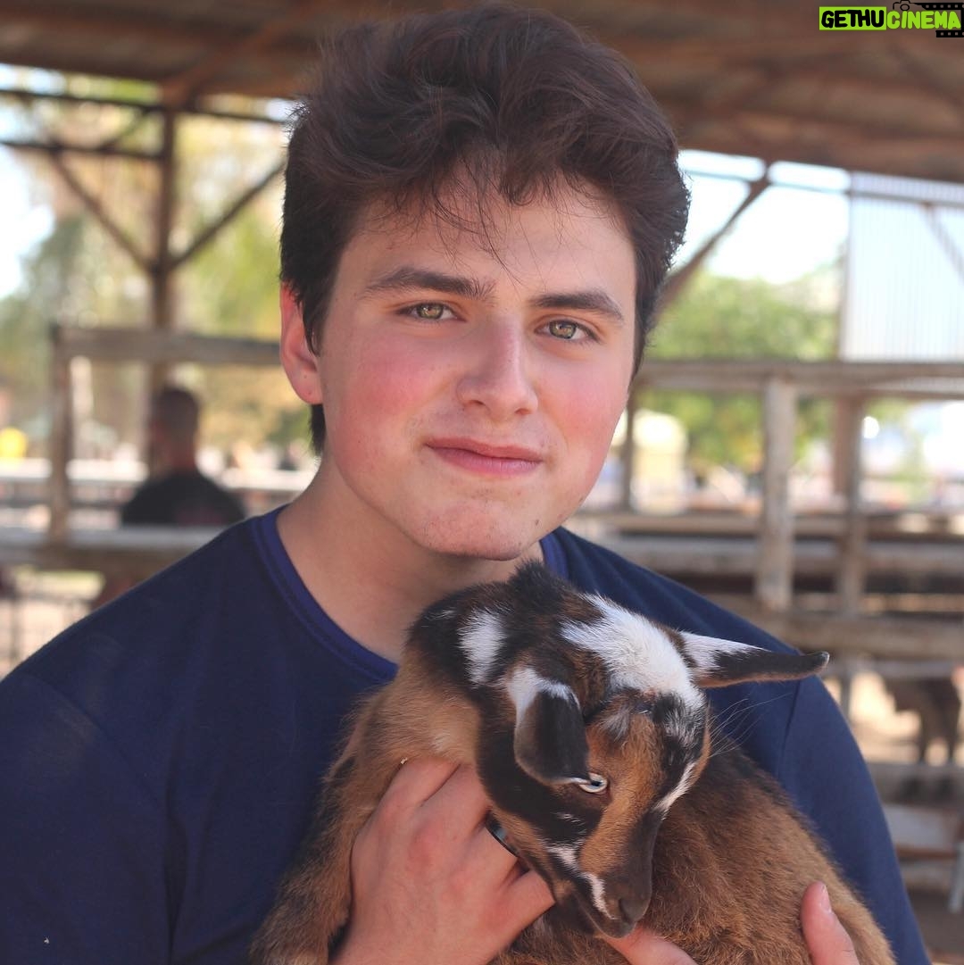 Liam Attridge - 8.4K Likes - Messy hair don't care I held a goat!