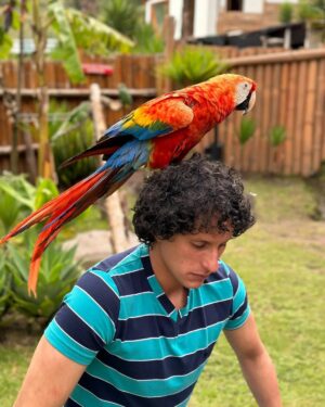 Lider Medranda Hernández Instagram - Mandé estas fotos para presumir las aves 😎 pero terminaron criticándome las shishis 😅