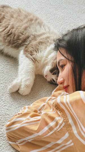 Lilli Lin Instagram - My best sunset buddy 放假了😽
太陽快回來呀！想去草地打滾了
-
讓我可以多睡20分鐘的
@missdapperstudio 
野生眉和角蛋白做完
起床看起來就很精神！