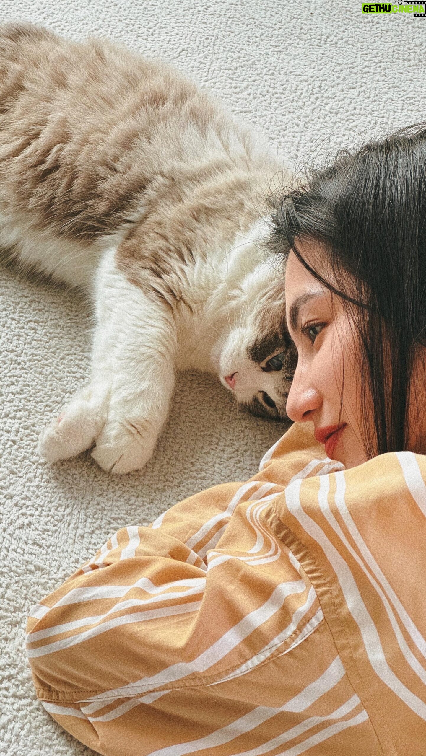 Lilli Lin - 3 Likes - My best sunset buddy 放假了😽
太陽快回來呀!想去草地打滾了
-
讓我可以多睡20分鐘的
@missdapperstudio
野生眉和角蛋白做完
起床看起來就很精神!