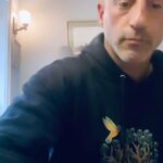 Lillo Brancato