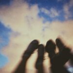 Lilly Dreesen