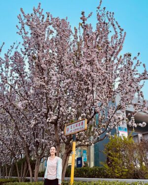 Lim Mei Fen Instagram - U must eat these 3 things before u leave Beijing. 1. Perking Duck 2. Zhajiangmian (noodles served with fried bean sauce) 3. Drink Bei Bing Yang-Chinese Juice Sparkling Soda 北冰洋-国民汽水 ….. the rest are extra bonus.