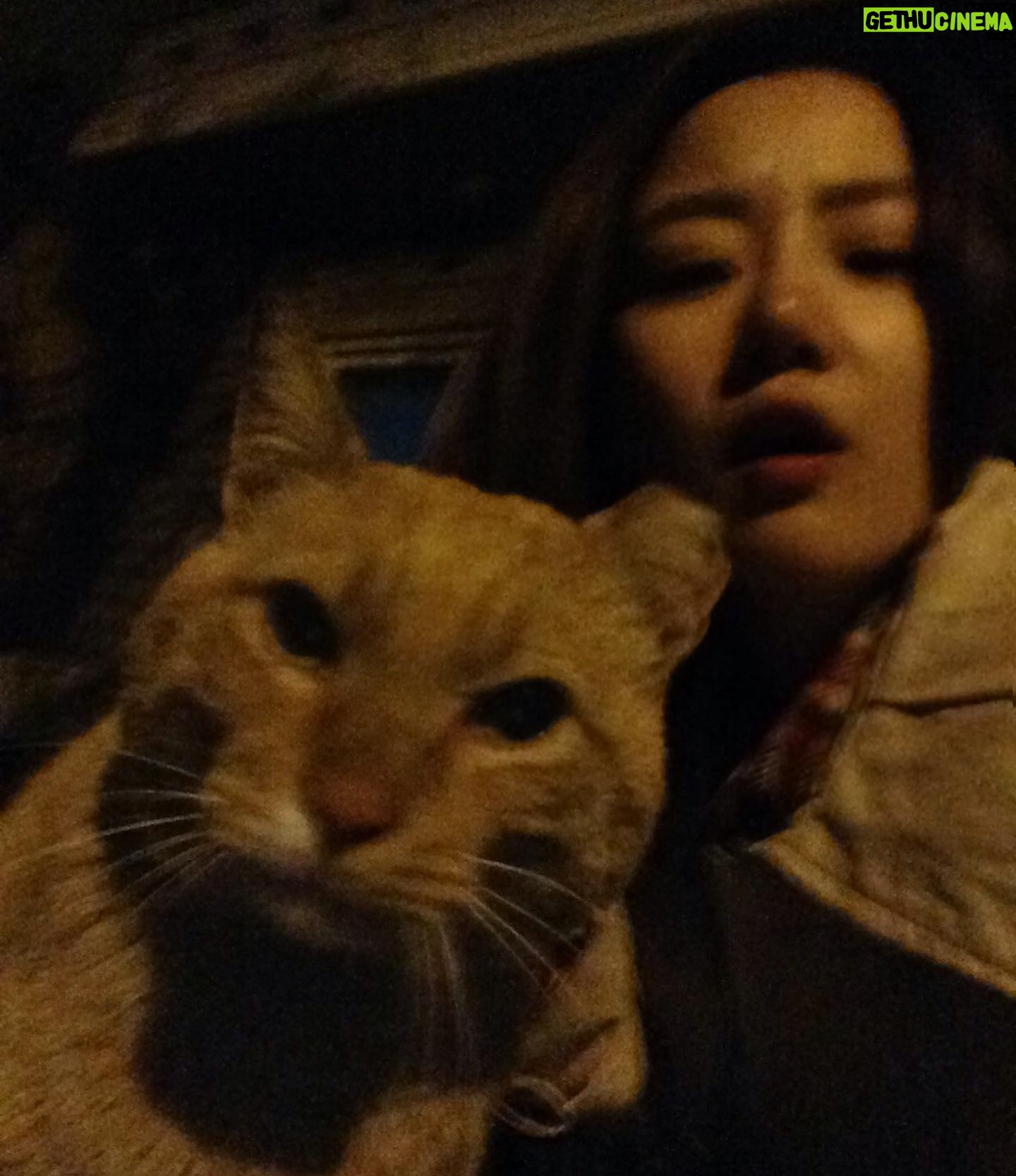 Lim Se-joo - 750 Likes - 옛날 사진들 보는데… 열심히 살았다…