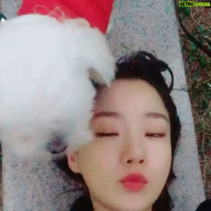 Lim Se-joo - 835 Likes - 세상에서 가장 사랑하는 코코