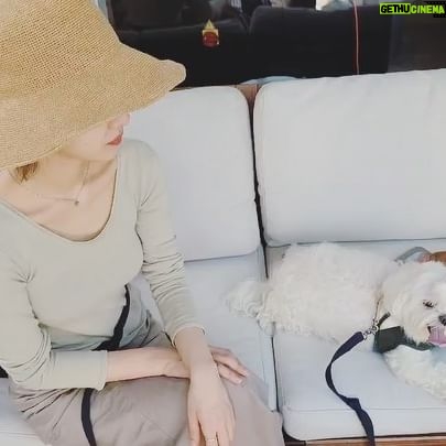 Lim Se-joo - 475 Likes - 인스타 감성 ..(?) 코코와 노을