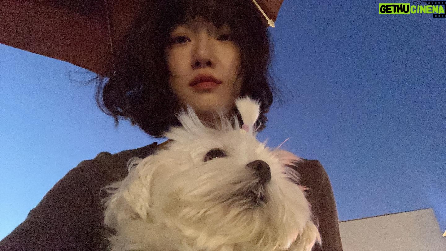 Lim Se-joo - 668 Likes - 베프와 요 며칠 데이트