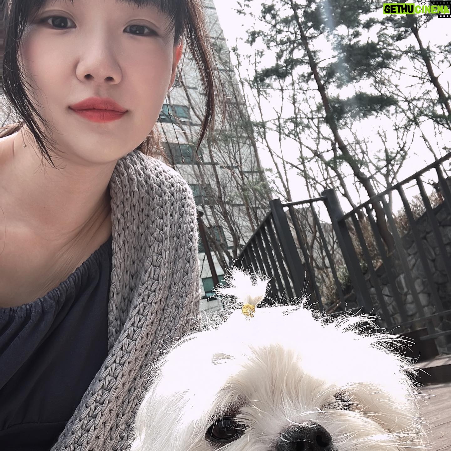 Lim Se-joo - 1.1K Likes - 요즘 업뎃