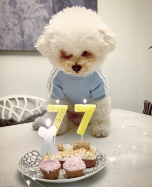 Lin Oeding Instagram - This lil’ fella turned 77 today😩Happy birthday lil buddy! 🎂