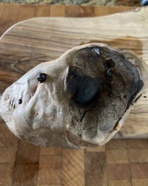 Lin Shaye Instagram - How many people here think I should not eat this sweet potato?