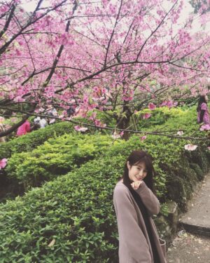 Lin Zoey Instagram - 🌸🌸🌸#櫻