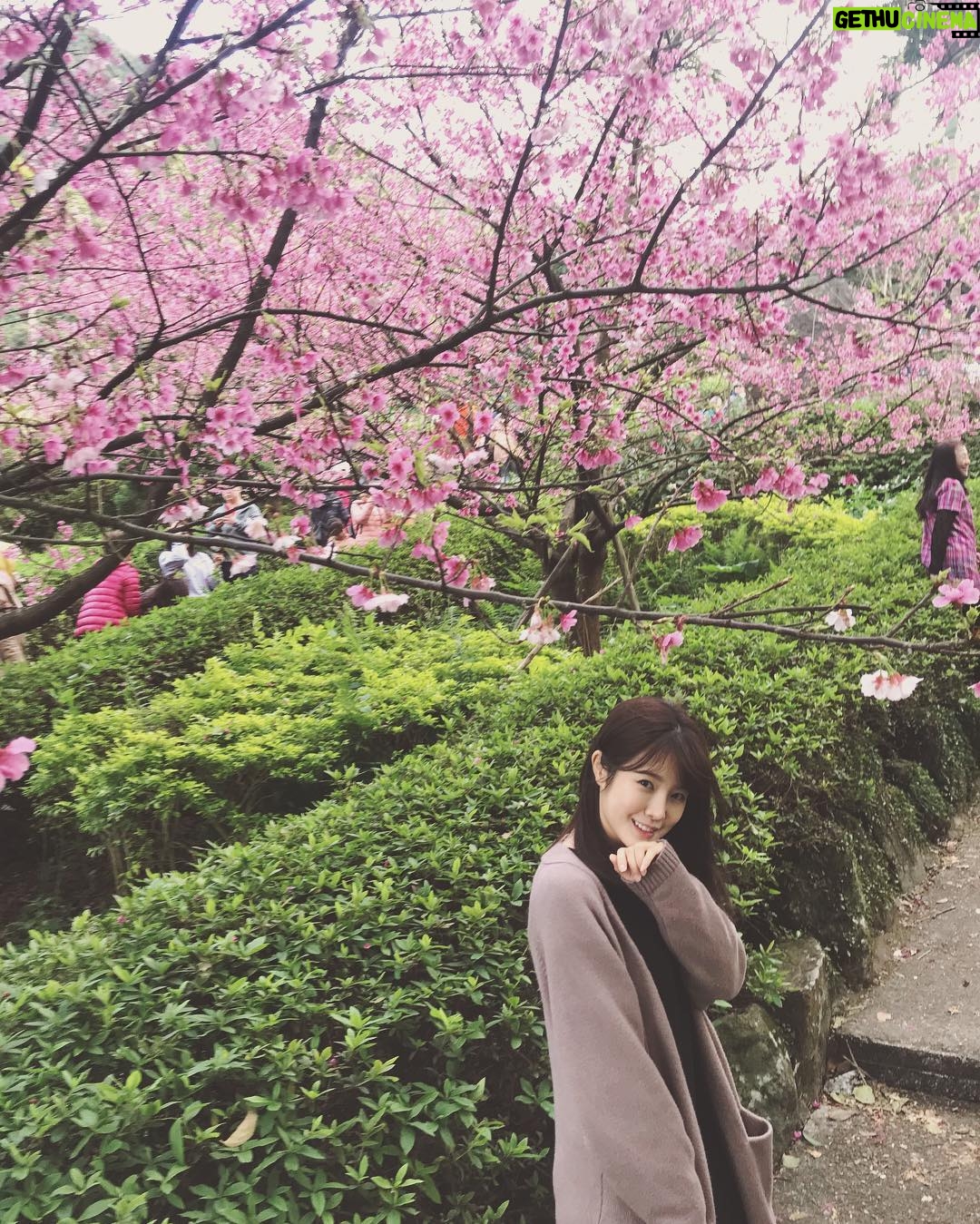 Lin Zoey - 1.1K Likes - 🌸🌸🌸#櫻