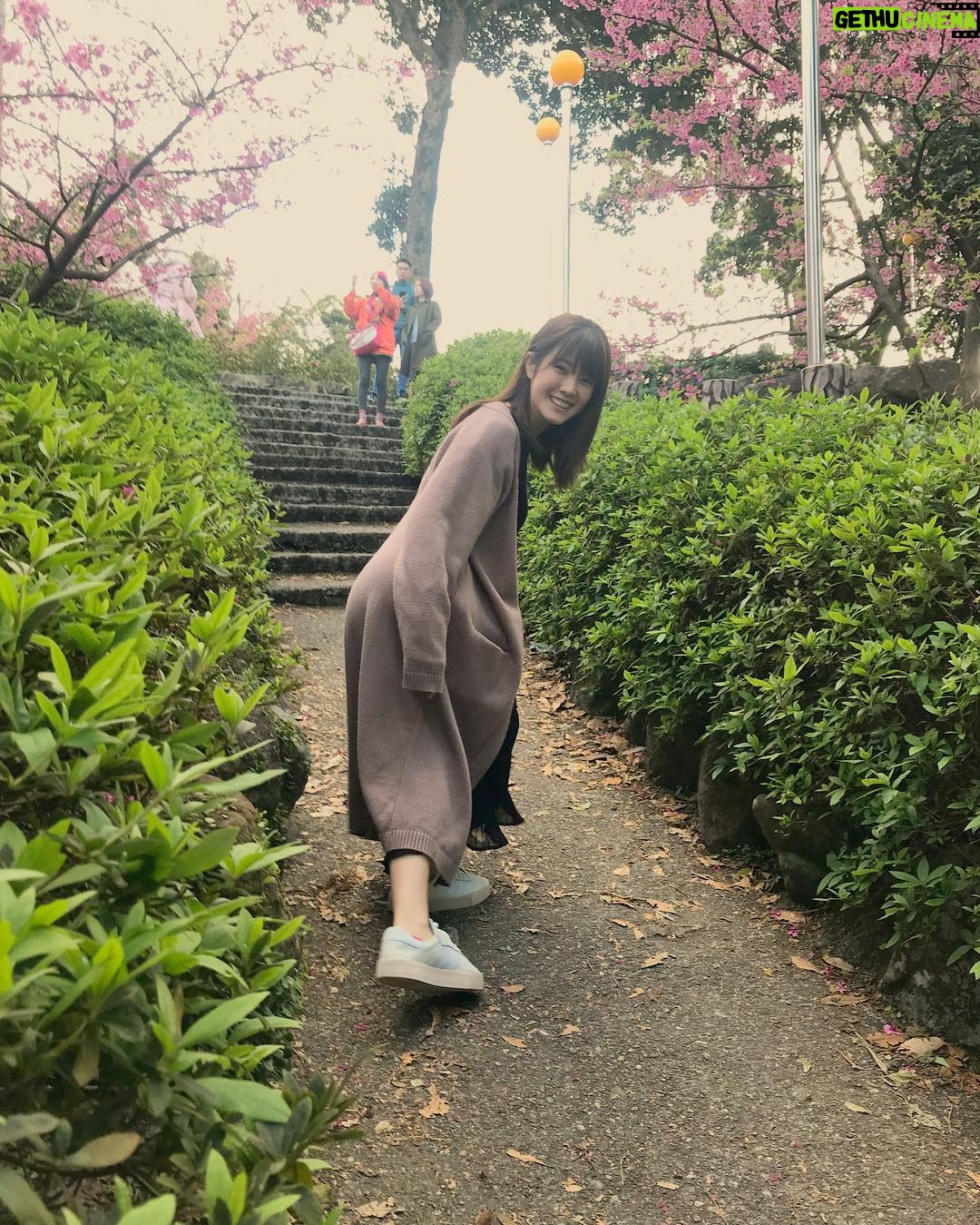Lin Zoey - 1.1K Likes - 🌸🌸🌸#櫻