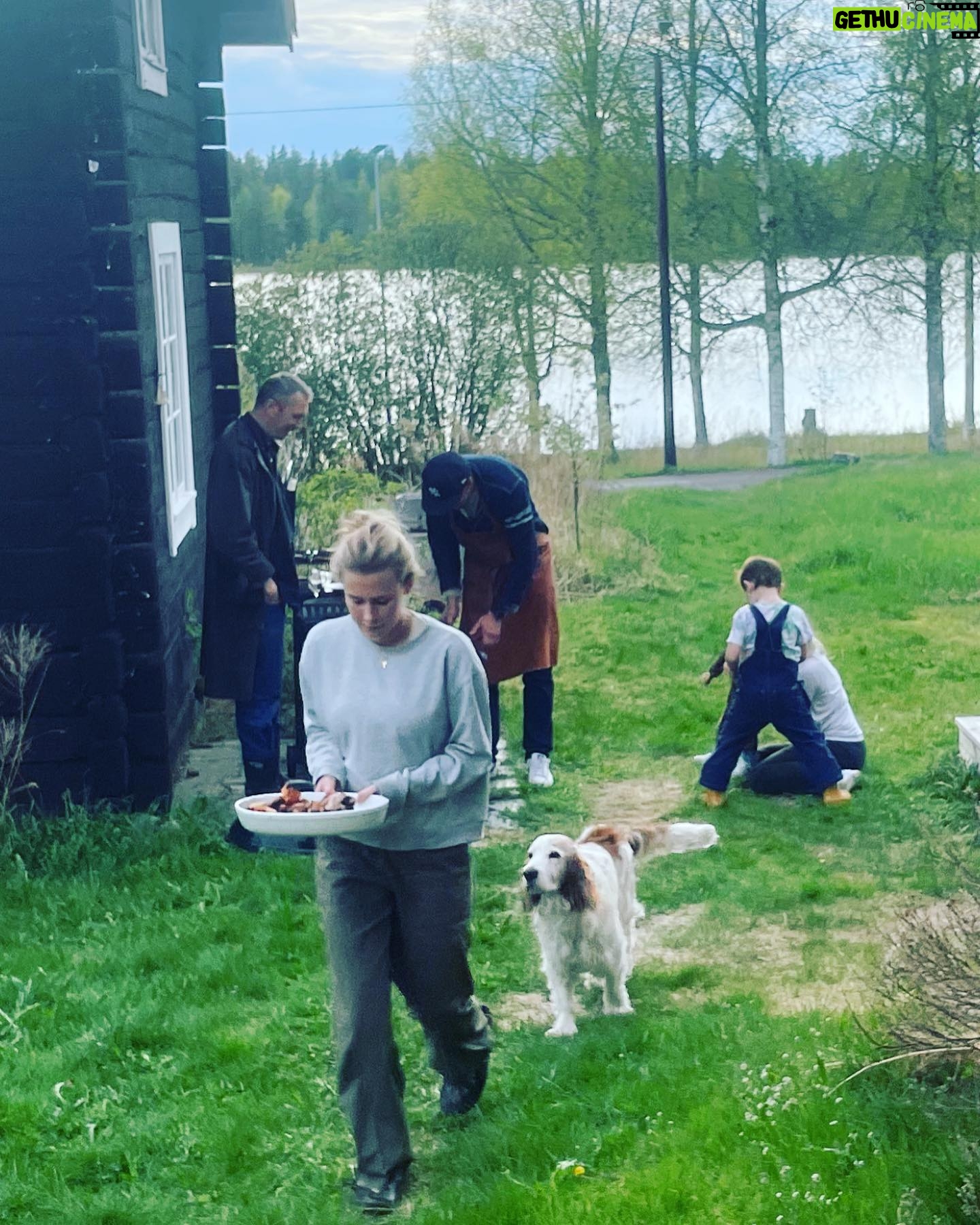 Lina Thomsgård - 484 Likes - Kristi him, lätt min bästa högtid?! Mina träd blommar, har gjort tusen mat plus munkar och friterad banan, gosat i högar morgon till kväll och vår bebis lärde sig precis gå. Och tonfiskmacka!