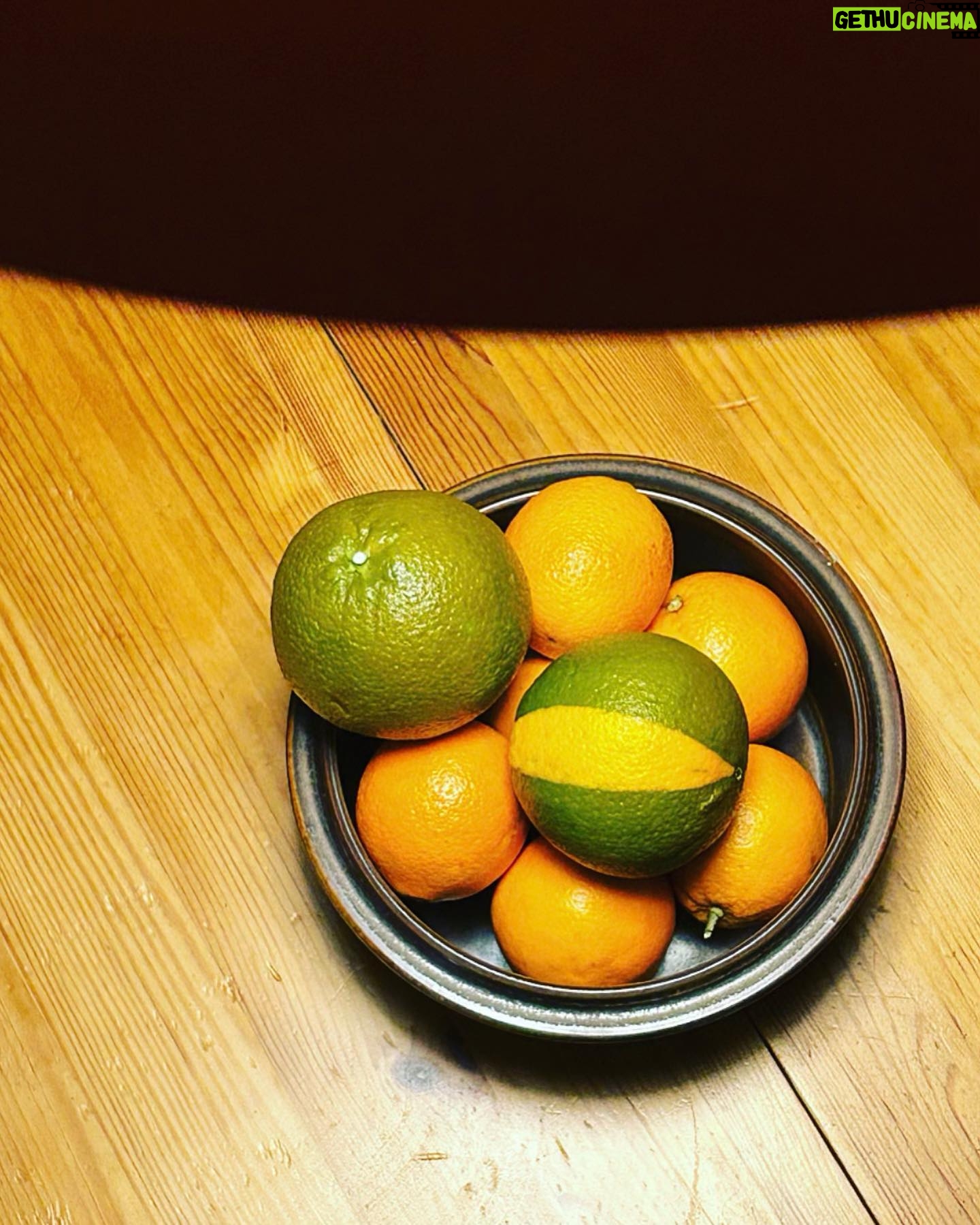 Lina Thomsgård - 517 Likes - Det som är bra med bilder är att dom inte har ljud.
Alla färger från @klintcolours @arrangingthings.