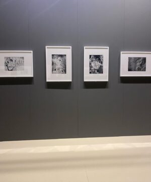 Linda Santaguida Instagram - «Giacomelli incontra Burri per la prima volta nel 1966, a presentarglielo è Nemo Sarteanesi, pittore, intellettuale, amico dell'artista, che con lui dà vita all'omonima Fondazione e che in due occasioni, organizza mostre di
Giacomelli a Città di Castello (1968, 1983).
Sarteanesi aveva conosciuto Giacomelli nei primi anni Sessanta al negozio di cornici Angelini di Senigallia, luogo di
incontro di artisti e intellettuali. Egli si trovava li in vacanza e dipingeva acquarelli e oli raffiguranti paesaggi di cam-
pagna, dominati dalle tinte verdi, con una pittura che Burri apprezzava, in bilico tra astrattismo e figurazione. Due
di questi paesaggi sono stati oggetto dello scambio con Giacomelli con alcune sue fotografie, come è risultato dai
diari, e altre opere di Giacomelli sono state donate a emo Sarteanesi successivamente, come documenta questa
esposizione.
Così Nemo Sarteanesi nel dépliant della mostra del 1968 tenutasi a Città di Castello: "Le intense immagini di Gia-
comelli sorprendono lo stato d'animo nella nitida definizione, ora lirica ora dolente. Figurazioni spoglie si stagliano
tese in una ricerca di essenziale significazione, tradotta con lo stringato linguaggio dei bianchi puri e dei neri assoluti. Memori di remote voci, le evocazioni della natura sono segnate da solchi laceri nella grafia ricca di modulazioni:
antica presenza dell'uomo cristallizzata nel tempo".»

Alessandro Sarteanesi

#burri 
#giacomelli