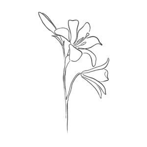 Lindsay Philomene Instagram - ✨Tattooing lines is very therapeutic for me, I want to do more dainty / bigger nature inspired pieces…
- First image is initial placement ideas ✨
1) Self Growth
2) Blooming 
3) Love yourself
.
.
- 2nd image is more placements /stacking ideas ✨
.
.
- 3rd imagine is the designs individually✨
.
.
.
To book these or other flash : Linktree in my bio 💕✨ or email directly : phylotattoos@gmail.com