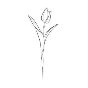 Lindsay Philomene Instagram - ✨Tattooing lines is very therapeutic for me, I want to do more dainty / bigger nature inspired pieces…
- First image is initial placement ideas ✨
1) Self Growth
2) Blooming 
3) Love yourself
.
.
- 2nd image is more placements /stacking ideas ✨
.
.
- 3rd imagine is the designs individually✨
.
.
.
To book these or other flash : Linktree in my bio 💕✨ or email directly : phylotattoos@gmail.com