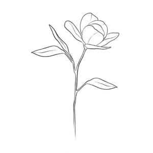 Lindsay Philomene Instagram - ✨Tattooing lines is very therapeutic for me, I want to do more dainty / bigger nature inspired pieces…
- First image is initial placement ideas ✨
1) Self Growth
2) Blooming 
3) Love yourself
.
.
- 2nd image is more placements /stacking ideas ✨
.
.
- 3rd imagine is the designs individually✨
.
.
.
To book these or other flash : Linktree in my bio 💕✨ or email directly : phylotattoos@gmail.com