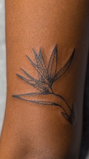 Lindsay Philomene Instagram - ✨ Bird of paradise flower for Anusha ✨ thankyou 🏄🏽‍♀️
.
.
.
To book : Linktree in my bio ✨
.
.
.
#melaninpoppin #montrealtattoo #montrealtattooartist #montrealtattooshops #neotraditional #neotraditionaltattoo #floraltattoo #naturetattoo #naturelovers