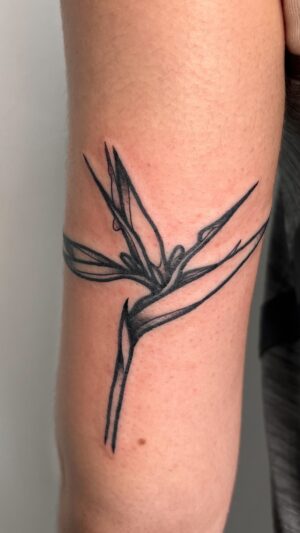 Lindsay Philomene Instagram - ✧ Bird of paradise for ✧ ᴬⁿᵍéˡⁱqᵘᵉ ✧ 
.
.
.
To book a custom or flash : Linktree in my bio ✧ 
.
.
.
#montrealtattoo #montrealtattooartist #floraltattoo #armtattoo #neotraditional #customtattoo