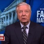 Lindsey Graham