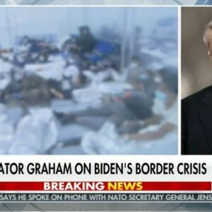 Lindsey Graham Instagram - I’m asking Dr. Fauci to visit the border and give his analysis of what is going on there as far as the pandemic. It’s important that Dr. Fauci see the situation at the border for himself. 
 
If he saw what I saw, I think he would recommend that we change our policies.