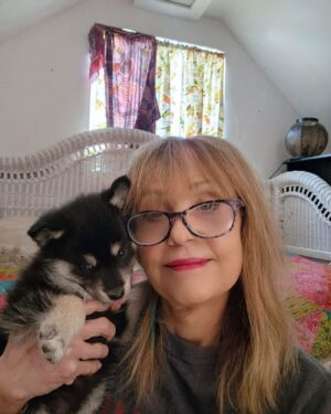 Linnea Quigley Instagram - My Latest rescue, a pomskie that was living outside in bad bad conditions and filthy. Just took her to get her first shot. She’ll need 4 more, once every 4 weeks. Meet Solstice, she’s 2.4lbs