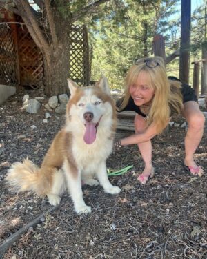 Linnea Quigley Instagram - Another life saved. It should be illegal to kill dogs because the shelters are full. What a barbaric practice. This good boy was about to be killed and I got hold of @lindablairwf and had her help in getting him out. @thereallindablair is a real hero to animals!!!! He was so stressed at being in the shelter but within a week he had calmed down alot. Hes such a good boy. Let’s spay, neuter, adopt not shop and beat these shelters down!