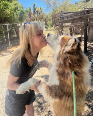 Linnea Quigley Instagram - Another life saved. It should be illegal to kill dogs because the shelters are full. What a barbaric practice. This good boy was about to be killed and I got hold of @lindablairwf and had her help in getting him out. @thereallindablair is a real hero to animals!!!! He was so stressed at being in the shelter but within a week he had calmed down alot. Hes such a good boy. Let’s spay, neuter, adopt not shop and beat these shelters down!