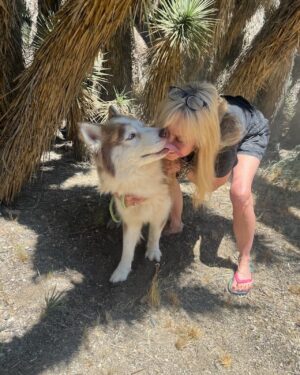 Linnea Quigley Instagram - Another life saved. It should be illegal to kill dogs because the shelters are full. What a barbaric practice. This good boy was about to be killed and I got hold of @lindablairwf and had her help in getting him out. @thereallindablair is a real hero to animals!!!! He was so stressed at being in the shelter but within a week he had calmed down alot. Hes such a good boy. Let’s spay, neuter, adopt not shop and beat these shelters down!