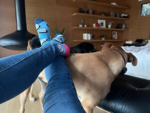 Lisa Joy Instagram - Thanks @ronnychieng.  I show me deep love and respect for you by wearing your face on my feet. (Also elegantly modeled using Roscoe as footstool)